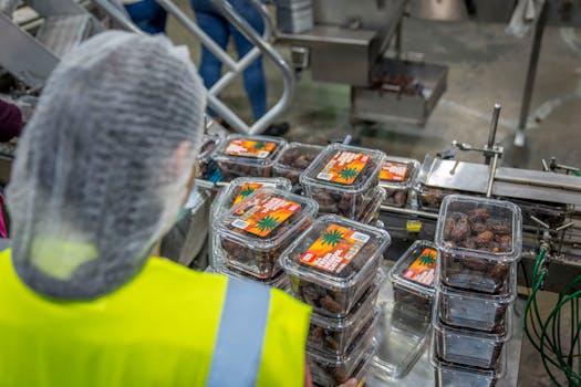 food packaging machine manufacturer in Faridabad automated packaging conveyor system